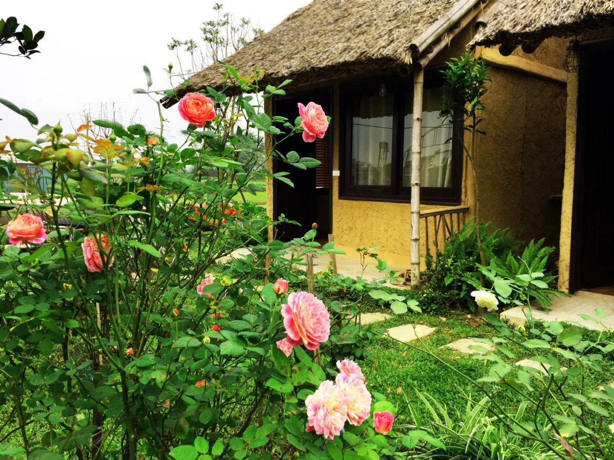 May Homestay - Tam Coc Local Village 宁平 外观 照片