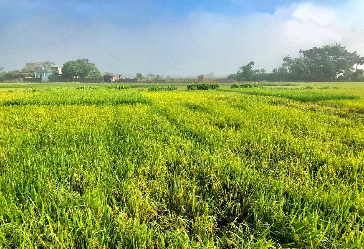 May Homestay - Tam Coc Local Village 宁平 外观 照片