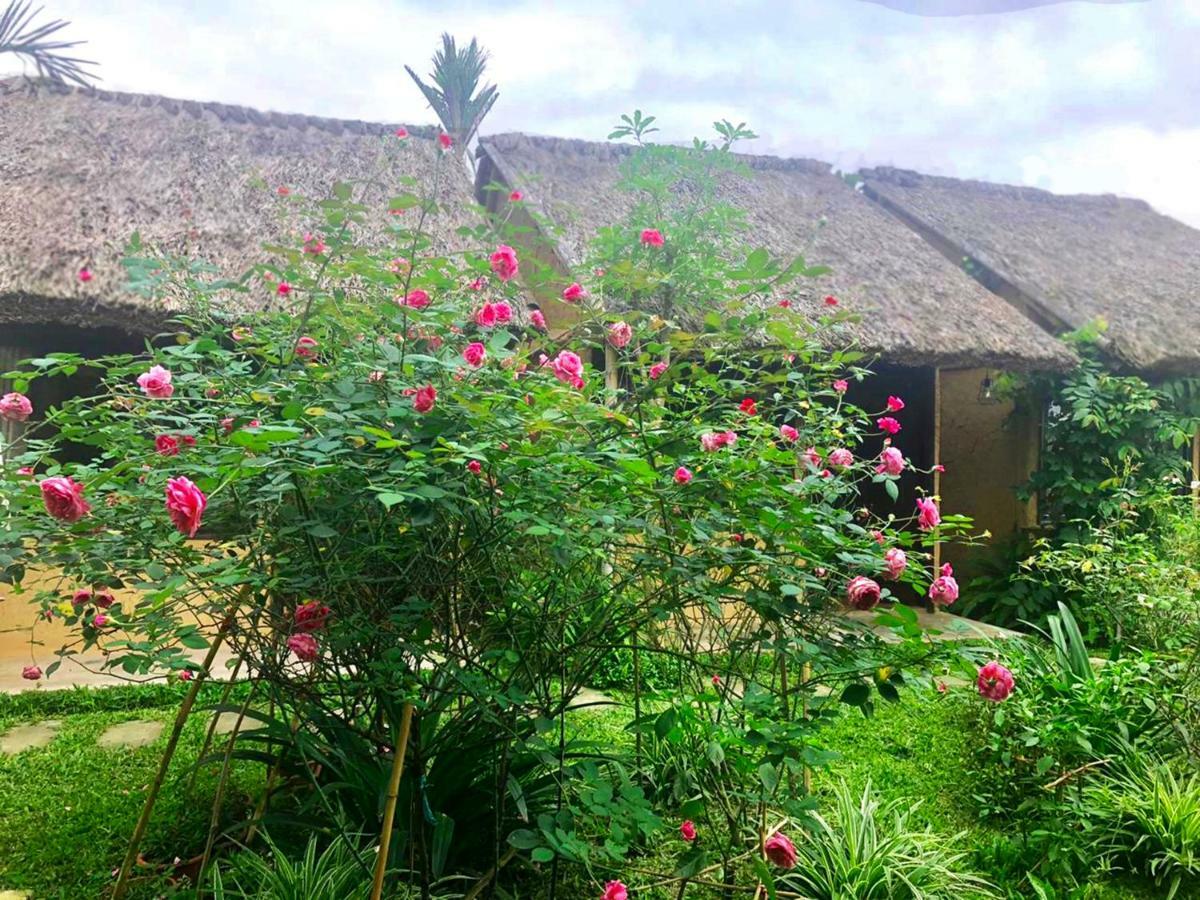 May Homestay - Tam Coc Local Village 宁平 外观 照片